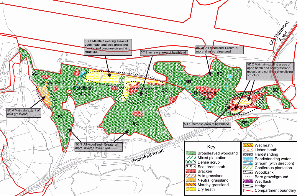 Compartment 05cde map