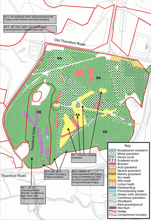 Compartment 06 map