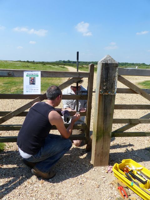 gate repairs