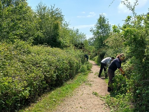 Path clearance