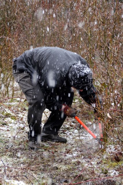 Working in the snow